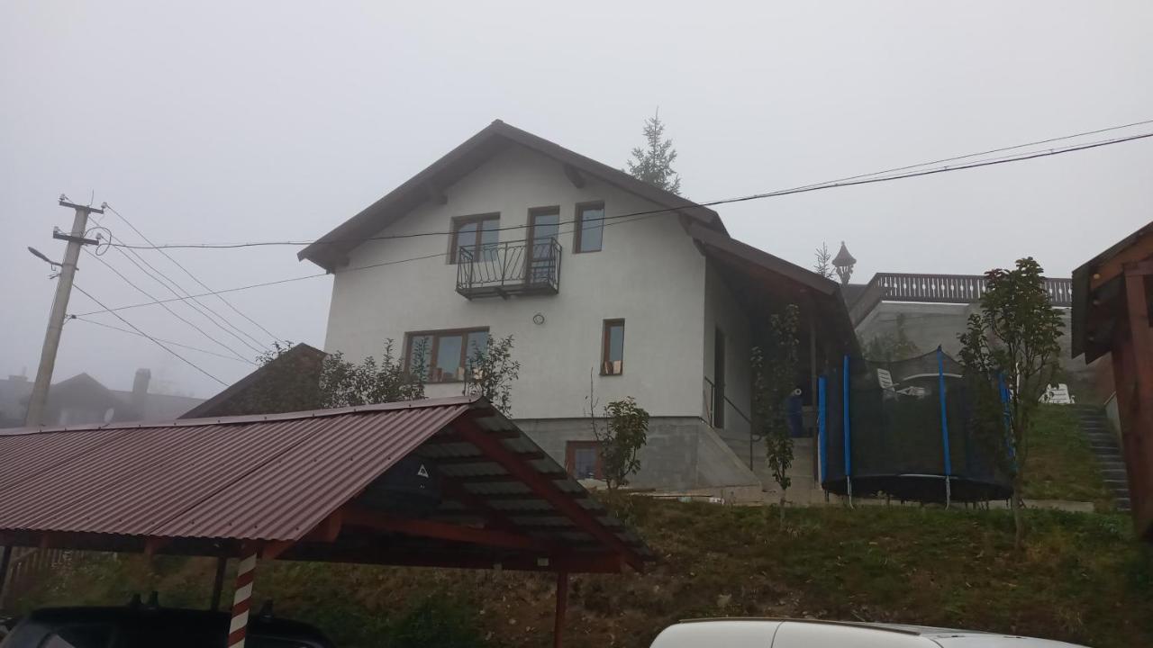 Біля Лісу Шале З Двома Спальнями Slavske Exterior photo
